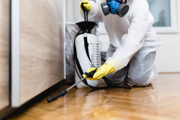 Best Exterminator Services  in Petersburg, MI