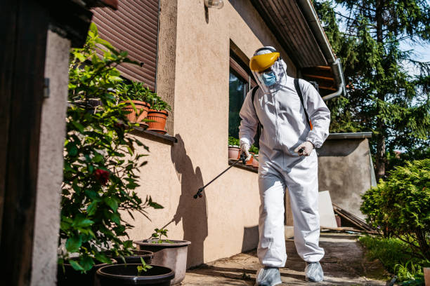 Best Residential Pest Control  in Petersburg, MI
