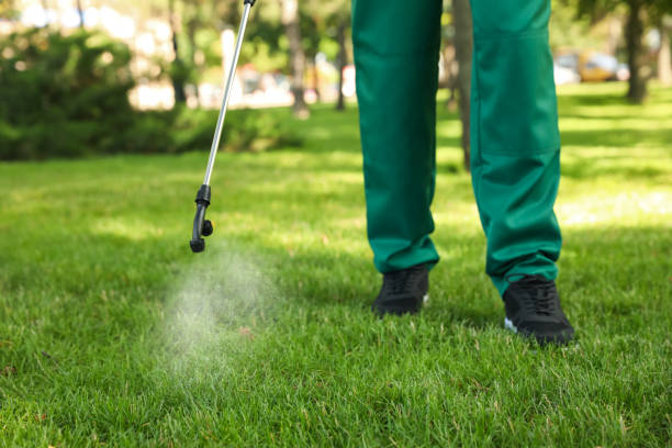 Best Mosquito Control Services  in Petersburg, MI